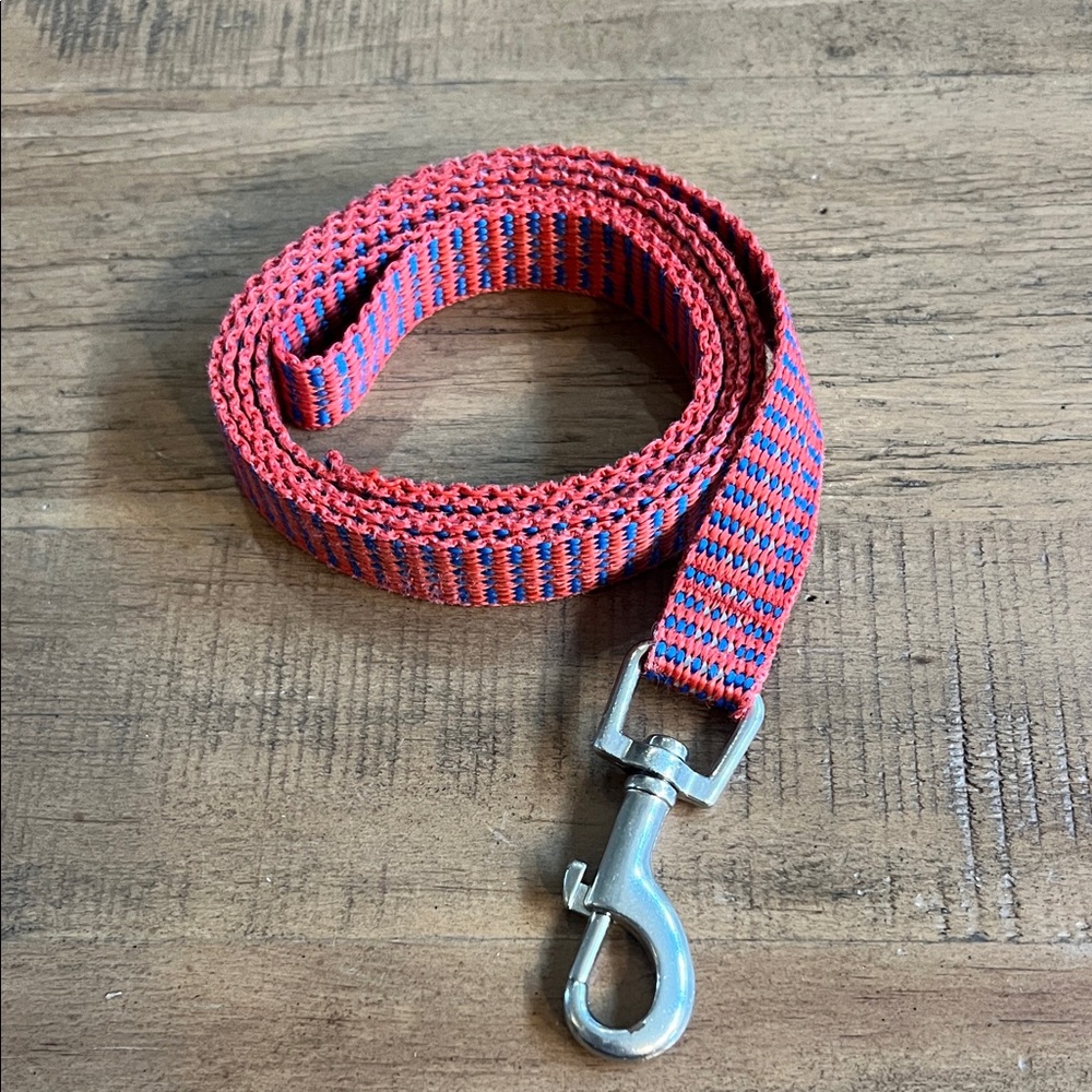Blueberry Pet Dog Leash, Multicolor Braids